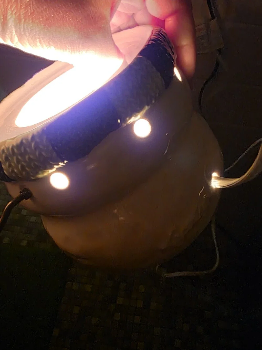 Scentsy Snowman Premium Warmer Holiday Collection In Box